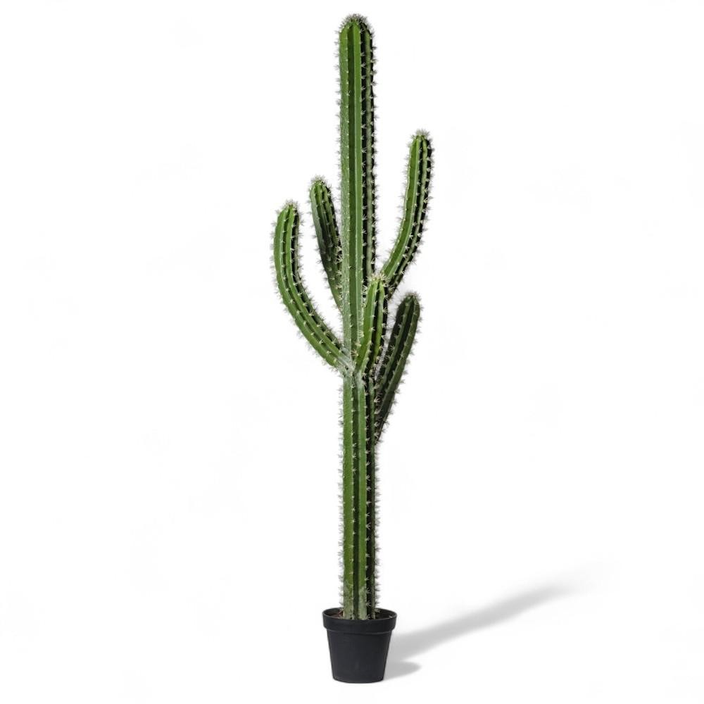 CACTUS 210CM IN VASO BRIGHT GR